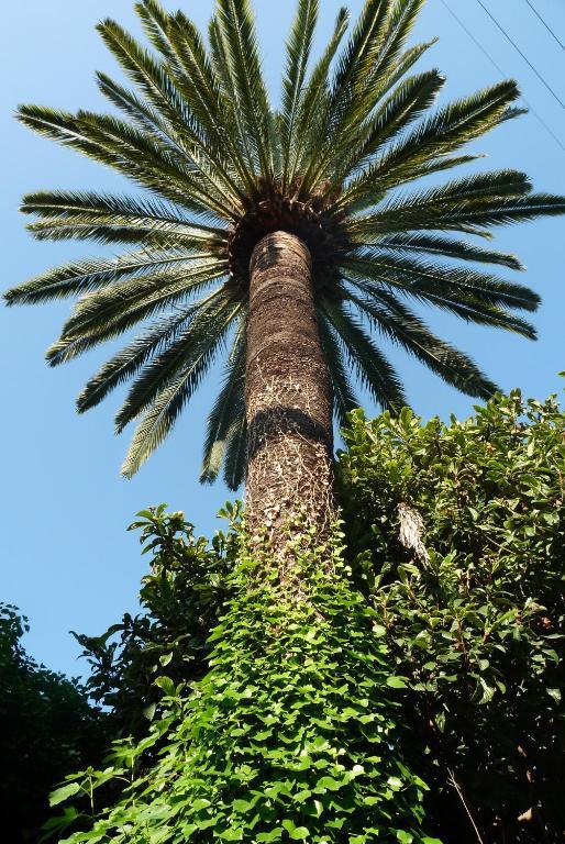 Castel Enchante Nizza Kültér fotó