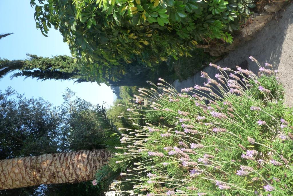 Castel Enchante Nizza Kültér fotó